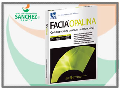 Papeles y conversiones Sánchez